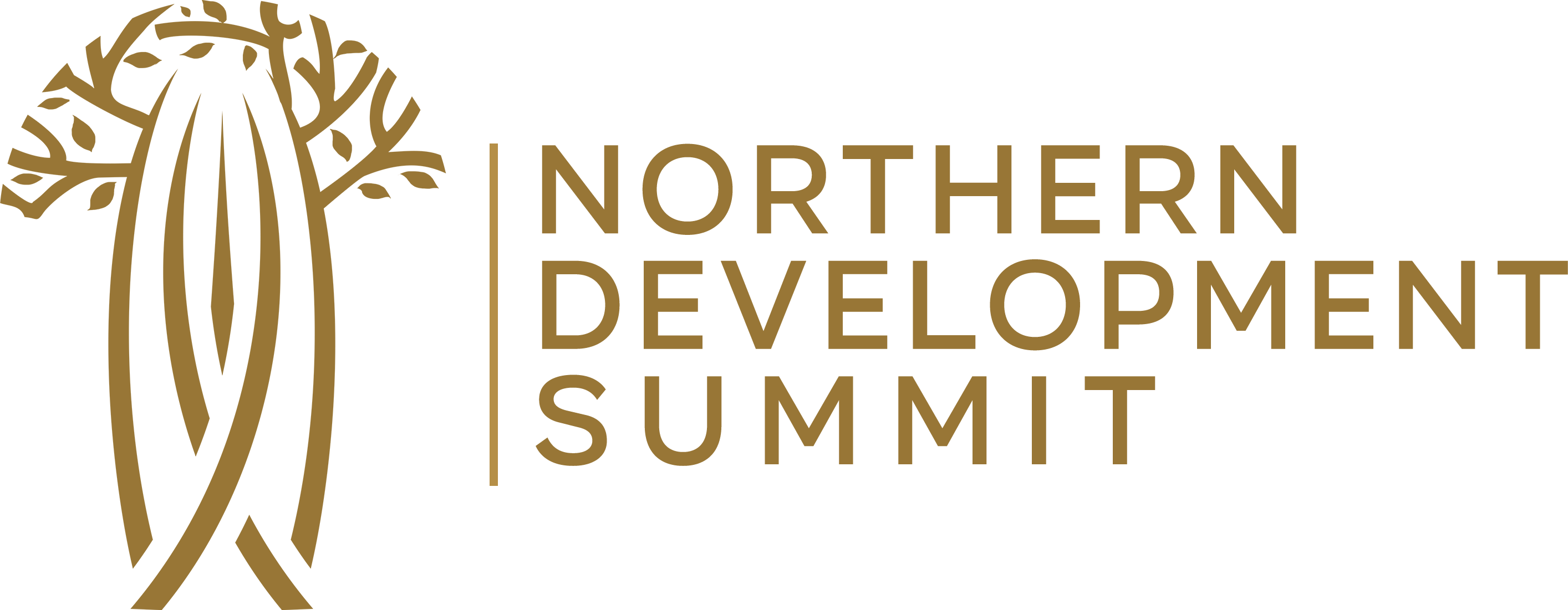 NDS Logo